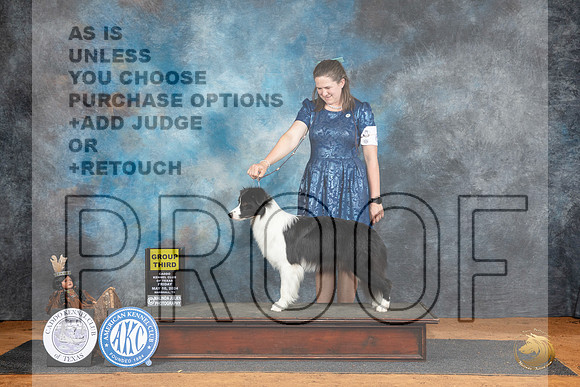 Border Collie #6 Fri G3 Judge Denise Dean__JP_7446_MARSHALL_2024_HR3