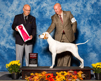Pointers #12 Sat G2 Cheek Kelley Judge Mr Gary L Anderson