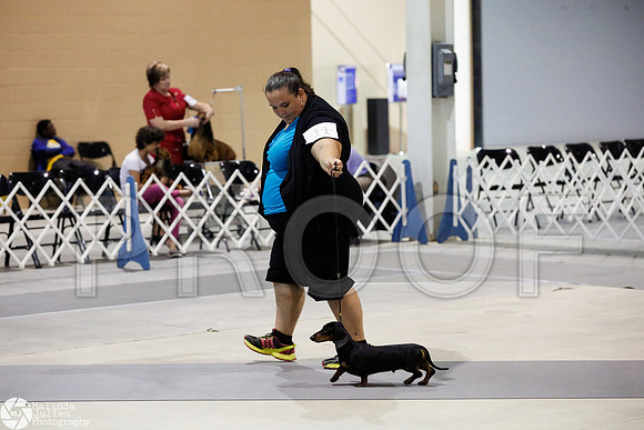_CL_8610-SanAntonioJul2014-HR