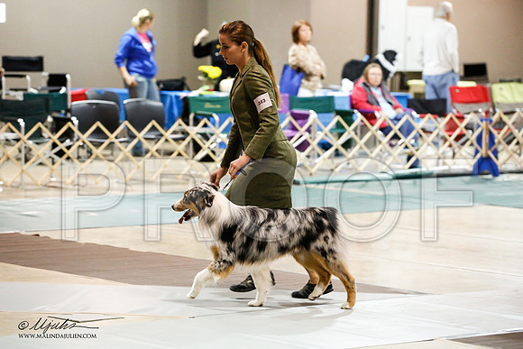 _JN_4403-ASCACollegeStationNov2014-HR3