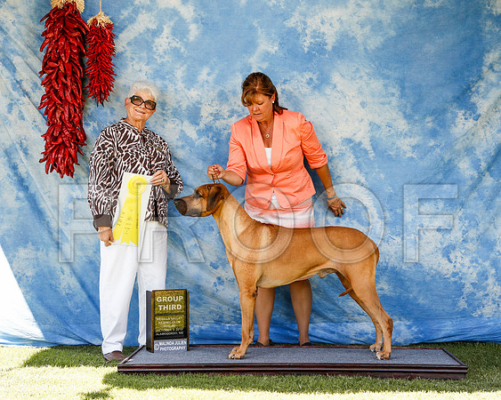_ST_2772-2-AlamogordoOct2014-HR3