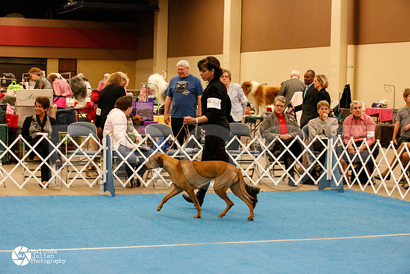 RHOD-0597-FWMar14-HR