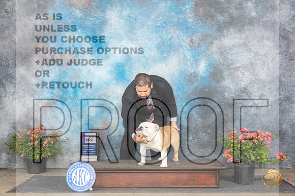 Bulldog #7 Sat WD Judge Victor Rosado__JP_4843_San Antonio_2024_HR3