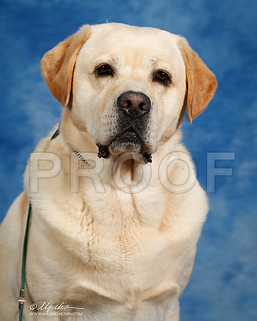 _ST_6889-SAJul2014-HR3