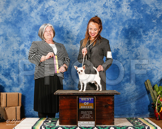 _ST_1554-2-GlenRoseJan2015-HR3
