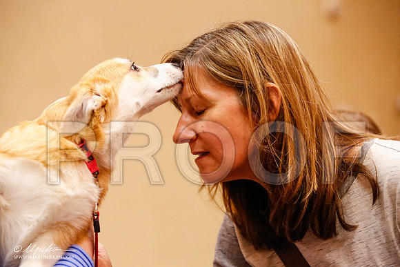 _JJ_9226-HstnCorgiFeb2015-HR3