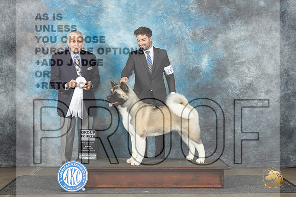 Akita #10 Sun G4 Judge David Bolus__JP_3971_Lubbock_2024_HR3
