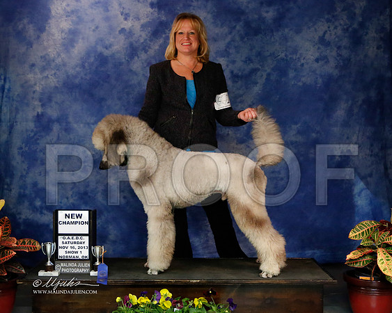 PoodStd-2-42-NormNov2013-HR