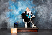 Poodle Std MC #259 Sat G1 Judge Nancy Gallant