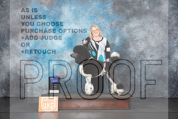 Poodle Std MC #259 Sat G1 Judge Nancy Gallant__JP_1247_UKCLNGVIEWOCT2024_2024_HR3