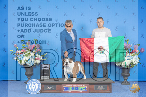 Bulldog #23 SUN BOW M Judge Douglas Johnson__JP_0177_Houston_2024_HR3
