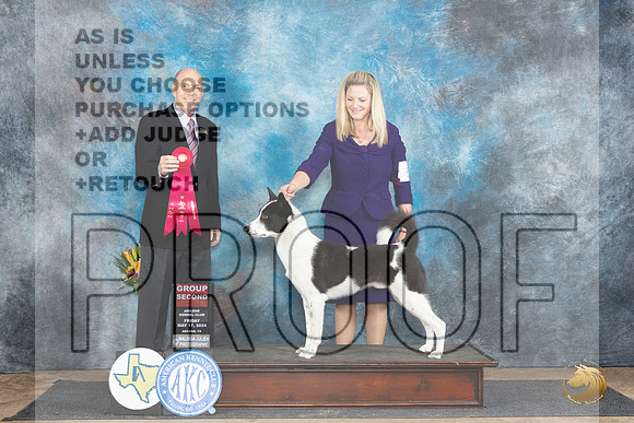 Canaan Dog #5 Fri G2 Judge Larry Abbott__JP_9537_Abilene_2024_HR3