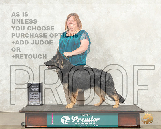 German Shepherd Dog #1143 Sun RACEN CA__MJ_8959_Premier_2022_HR3