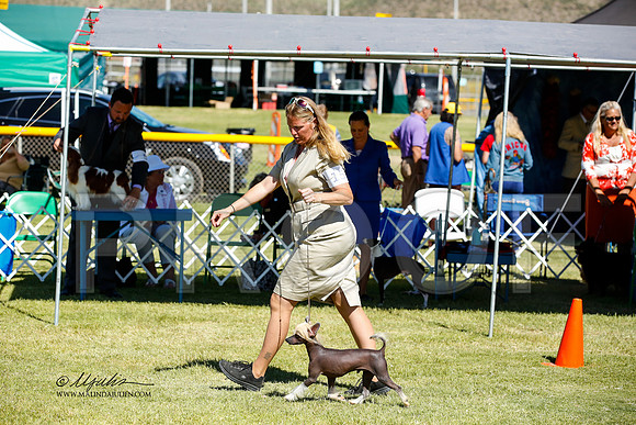 _JN_1164-AlamogordoOct2014-HR3