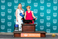 Dachshund Longhaired #166 Sat1 G1 Judge Pamela Perdue
