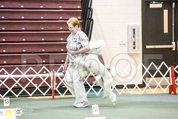 _JJ_3210-BsrCtyJun2014-HR3