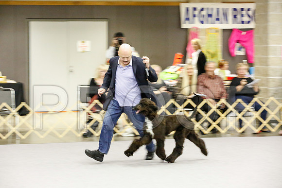 _JJ_9243-AfgBeltonOct2014-HR3