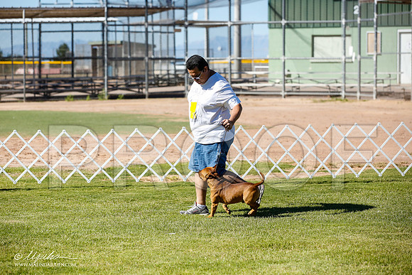 _JN_4362-AlamogordoOct2014-HR3
