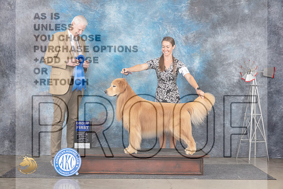 Golden Retriever #11 Thurs G1 Judge Jon Cole__JP_5088_Amarillo_2024_HR3