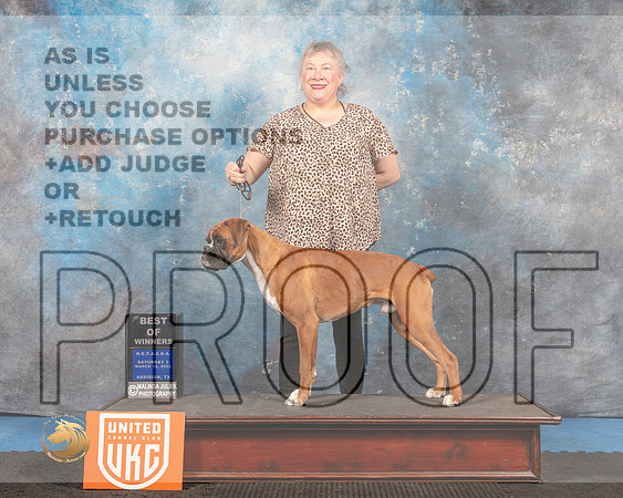 Boxer #108 Sat2 BOW Judge David Arthur_MMJ_6562_Addison2022_HR3