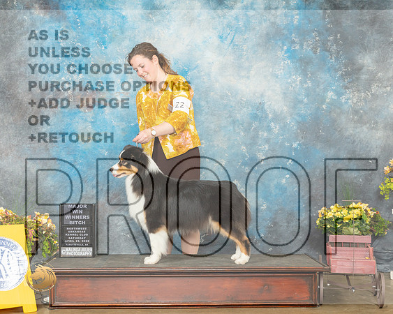Australian Shepherd #22 Sat WB Judge Raymond Filburn-MMJ_0558-NWARK2022-HR3