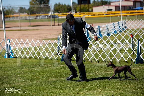 _JJ_8375-AlamogordoOct2014-HR3