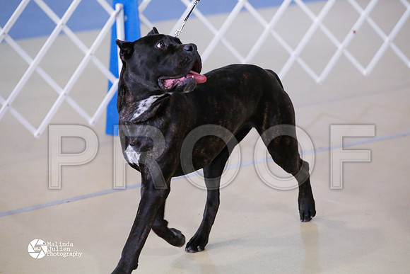 Cane-6053-HtoJan14-HR
