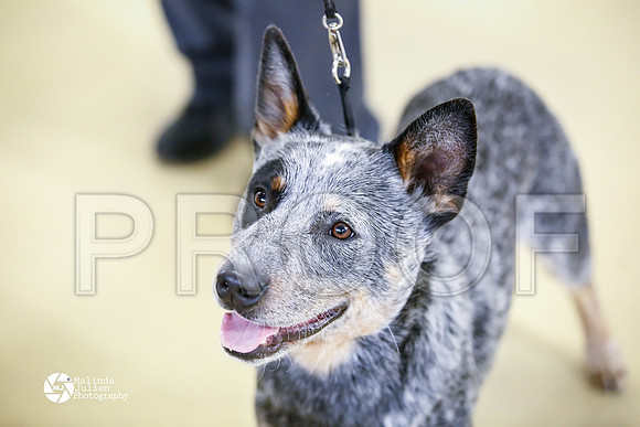 ACD-7615-HtoJan14-HR