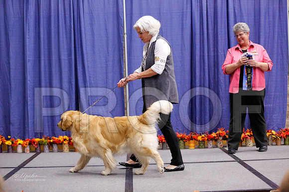 POTH-7356-WFOct2013-HR