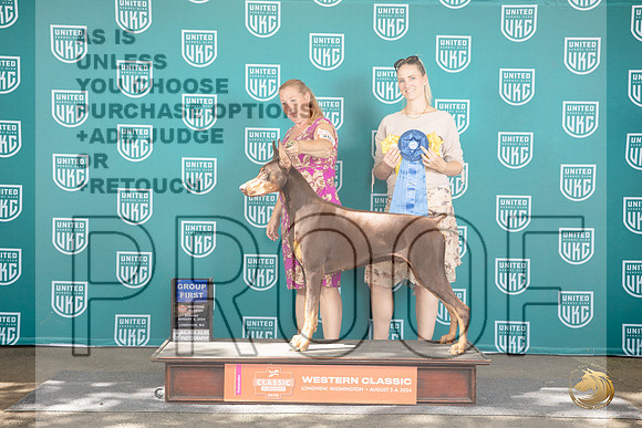 Dobermann Pinscher #409 Sun G1 Judge Sharron Griffin__JP_1976_Longview WA_2024_HR3