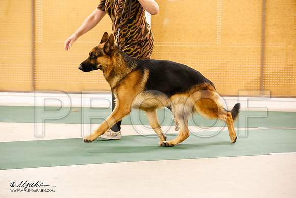 _JN_9562-NrmnNov2014-HR3