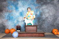 Russel Terrier #5 Sun G2 Judge Jan Paulk