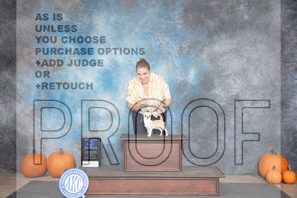 Chihuahua Smooth #15 Sat WDBOW Judge Raymond Filburn__JP_8606_Humble_2024_HR3