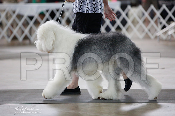 _JJ_6024-DallasJul2014-HR3