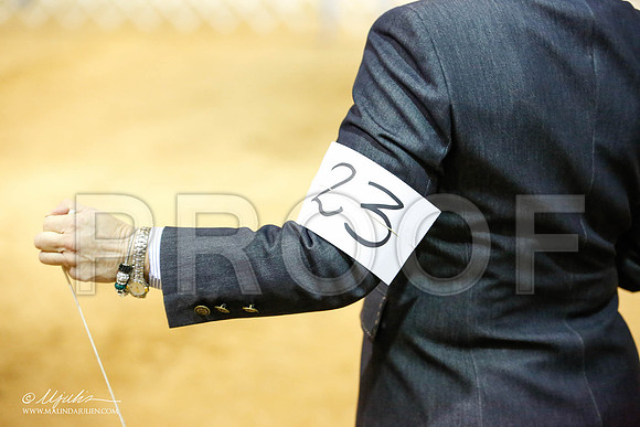 _JN_3376-2-GlenRoseJan2015-HR3