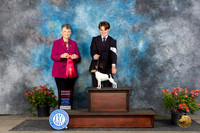 Toy Fox Terrier #12 Sat G2 Judge Christine Martinez