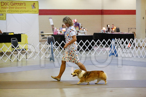 _JN_0822-AmarilloSept2014-HR3