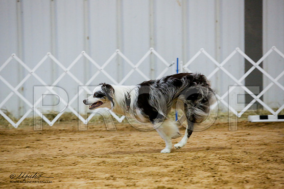_JJ_8380-ASCACollegeStationNov2014-HR3