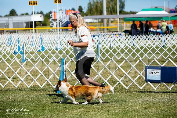 _JJ_5074-AlamogordoOct2014-HR3