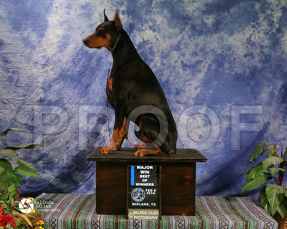 dobe-8167-MidFeb14-HR