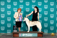 Siberian Husky #842 Sun BOB Judge Sharon Griffin