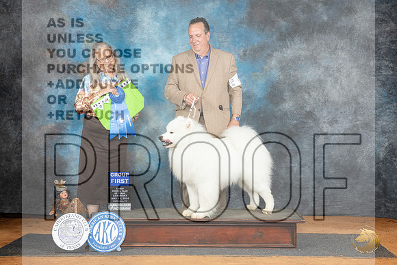 Samoyed #5 Sat G1 Judge Denise Dean__JP_8151_MARSHALL_2024_HR3