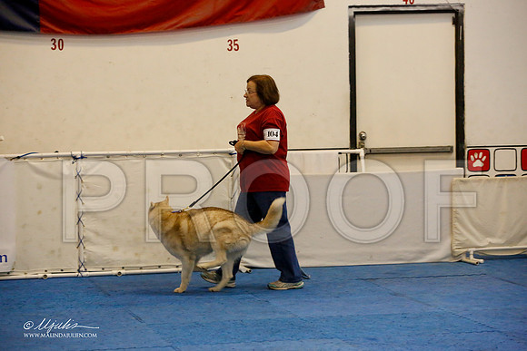 _M3_8077-AddisonHuskyMar2015-HR3