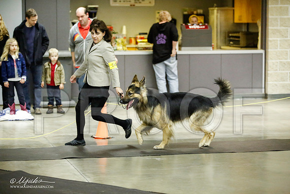 _JJ_6636-BeltonJan2015IABCA-HR3
