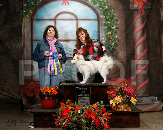 _ST_7119-2-NrmnNov2014-HR3