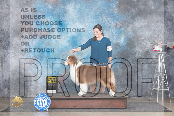 Australian Shepherd #19 Sat G3 Judge Pat Trotter__JP_5937_Amarillo_2024_HR3