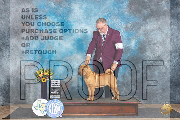 Chinese Shar Pei #12 Fri BOBGCH Judge Sharol Candace Way__JP_9187_Abilene_2024_HR3
