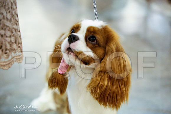 _JJ_7412-HstnJul2014-HR3