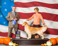 Retrievers Golden #10 SUN WB NC Grennan Pauline Judge Mr Rick Gschwender