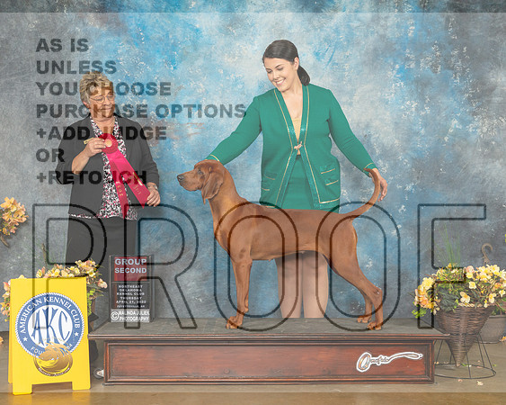 Redbone Coonhound #6 Thur G2 Judge Cathy Daugherty-MMJ_8995-NWARK2022-HR3